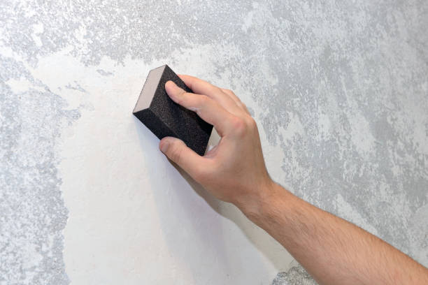Reliable Ellenville, NY Mold Removal Solutions