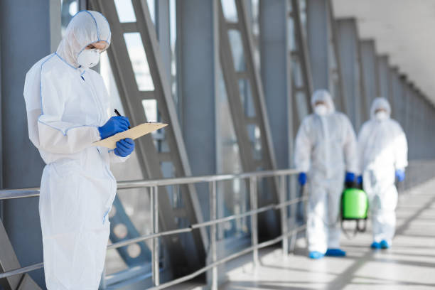  Ellenville, NY Mold Removal Pros