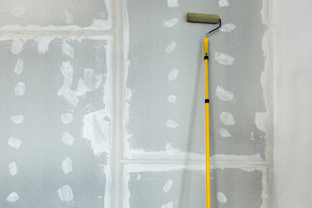 Best Attic Mold Removal  in Ellenville, NY