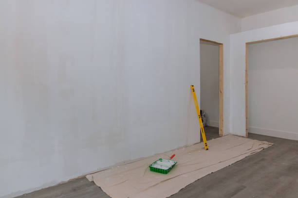 Best Basement Mold Removal  in Ellenville, NY