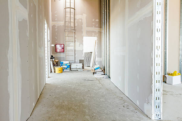Best Air Quality Testing for Mold Spores  in Ellenville, NY