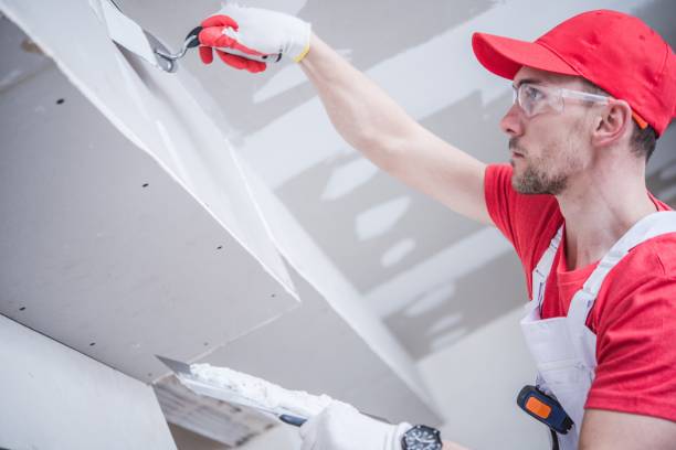 Best Residential Mold Inspection & Testing  in Ellenville, NY